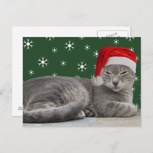 Carte postale de chat Noël (Devant / Derrière)