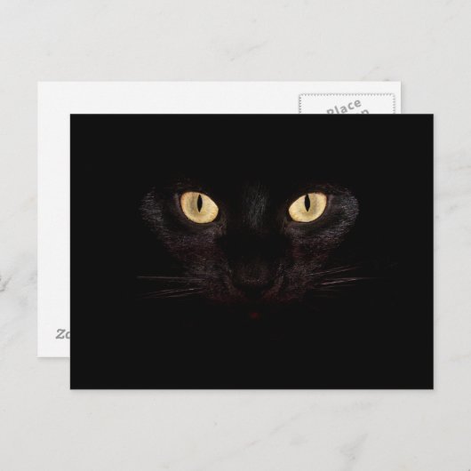 carte postale de chat noir (Devant / Derrière)
