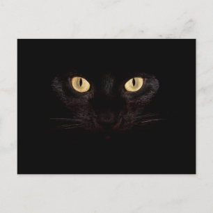 carte postale de chat noir