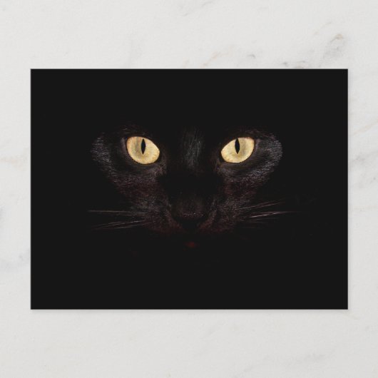 carte postale de chat noir (Devant)