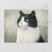 Carte postale de chat noir et blanc (Devant)