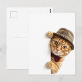 Carte postale de chat noir mignon qui regarde (Devant / Derrière)