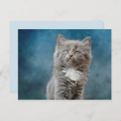 carte postale de chat orageux (Devant / Derrière)