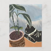 Carte postale de chat regardant les plantes d'inté (Devant)
