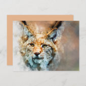 carte postale de chat sauvage (Devant / Derrière)