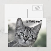 Carte postale de chat surpris mignon avec des lune (Devant / Derrière)