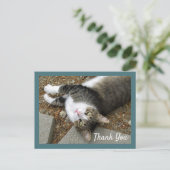 Carte postale de chat tigré aux yeux rêveurs avec  (Debout devant)