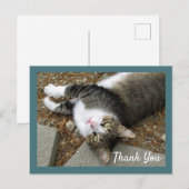 Carte postale de chat tigré aux yeux rêveurs avec  (Devant / Derrière)