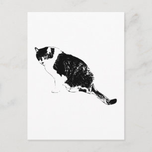 Carte postale de chat vectoriel envoie des salutat