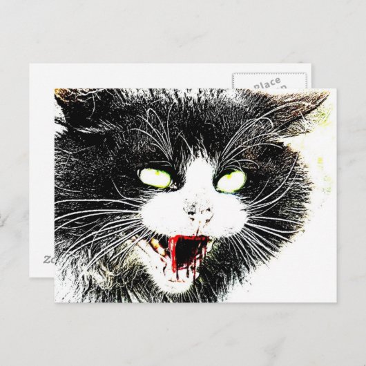 Carte postale de chat zombie (Devant / Derrière)
