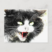 Carte postale de chat zombie (Devant)