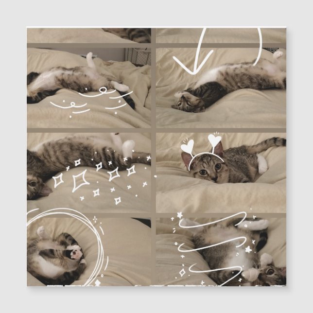 Carte postale de chaton adorable (Devant)