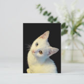 Carte postale de chaton blanc mignon Van Turc (Debout devant)