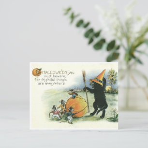 Carte postale de chaton de chat noir Halloween sou