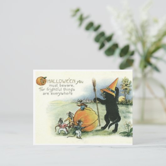 Carte postale de chaton de chat noir Halloween sou (Debout devant)