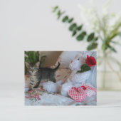 carte postale de chaton de la Saint-Valentin (Debout devant)