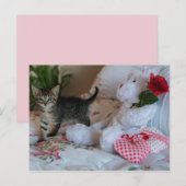 carte postale de chaton de la Saint-Valentin (Devant / Derrière)