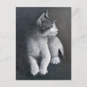 Carte postale de chaton tigré (Devant)