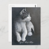 Carte postale de chaton tigré (Devant / Derrière)
