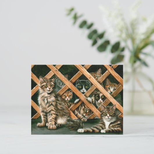 Carte postale de chats de trellis (Debout devant)