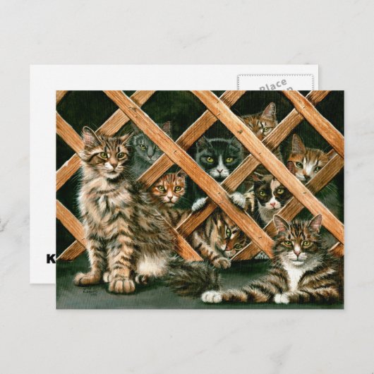 Carte postale de chats de trellis (Devant / Derrière)