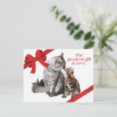 Carte postale de chats de vacances (Debout devant)