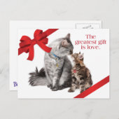 Carte postale de chats de vacances (Devant / Derrière)