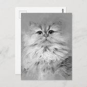 Carte postale de chats persans n° 25 (Devant / Derrière)