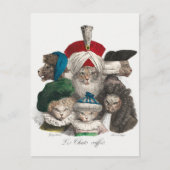 Carte postale de chats vintage (Devant)