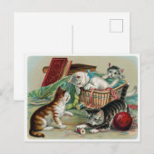 Carte postale de chats vintage (Devant / Derrière)