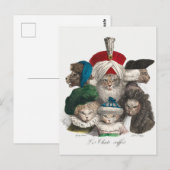 Carte postale de chats vintage (Devant / Derrière)