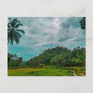Carte postale de chemin forestier ensoleillé serei