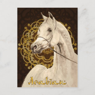 Carte postale de cheval arabe gris