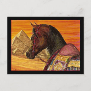 Carte postale de cheval arabe rouge et or
