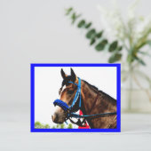 Carte postale de cheval de course (Debout devant)