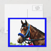 Carte postale de cheval de course (Devant / Derrière)