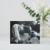 carte postale de cheval de nuit mystique (Debout devant)
