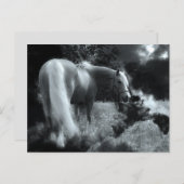 carte postale de cheval de nuit mystique (Devant / Derrière)
