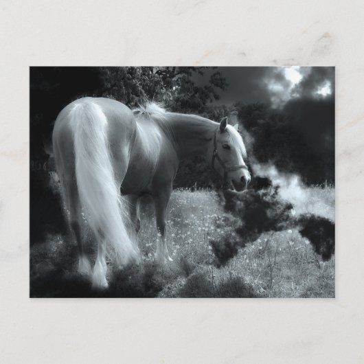 carte postale de cheval de nuit mystique (Devant)