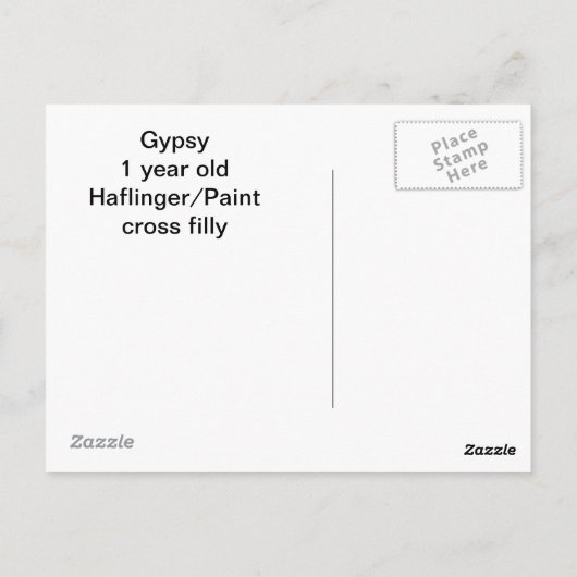 carte postale de cheval de pinto (Dos)