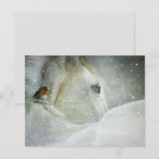 carte postale de cheval en hiver (Devant / Derrière)