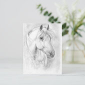 Carte postale de cheval gris (Debout devant)