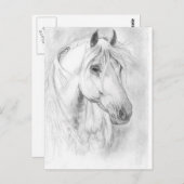 Carte postale de cheval gris (Devant / Derrière)