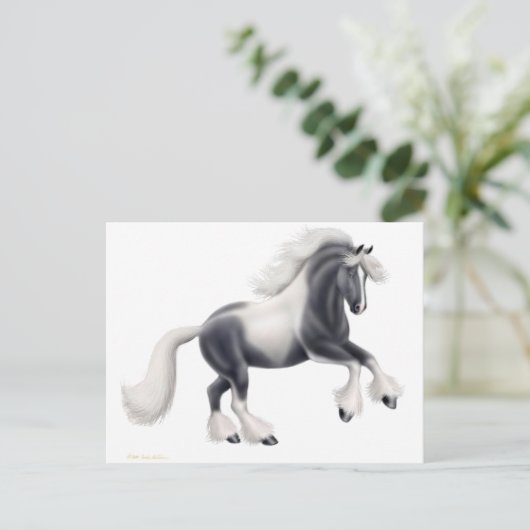 Carte postale de cheval Gypsy Vanner (Debout devant)