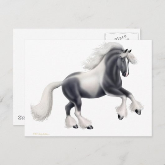 Carte postale de cheval Gypsy Vanner (Devant / Derrière)