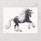 Carte postale de cheval Gypsy Vanner (Devant)