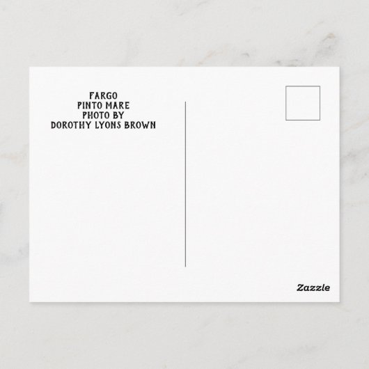 Carte postale de cheval Pinto (Dos)