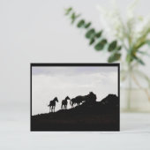 Carte postale de cheval sauvage (Debout devant)