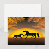 carte postale de chevaux au coucher du soleil (Devant / Derrière)