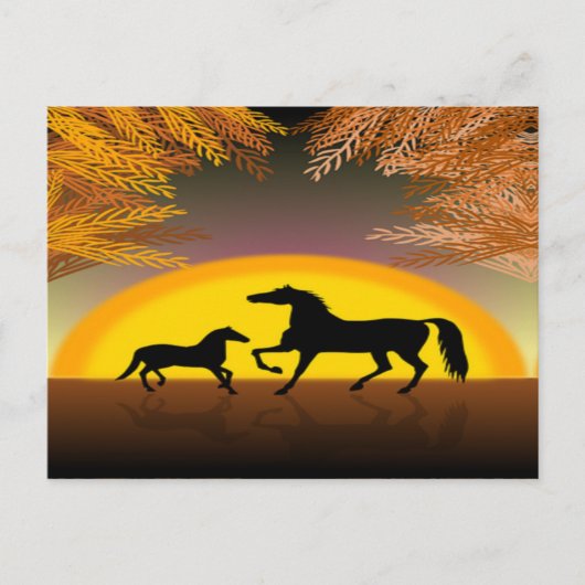 carte postale de chevaux au coucher du soleil (Devant)